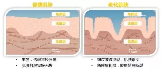 亚美AM8AG·(中国区)官方网站